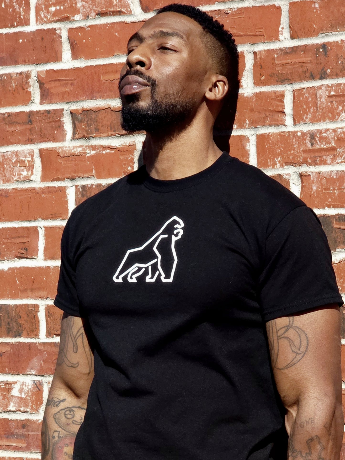 ZooSuit Lone Gorilla